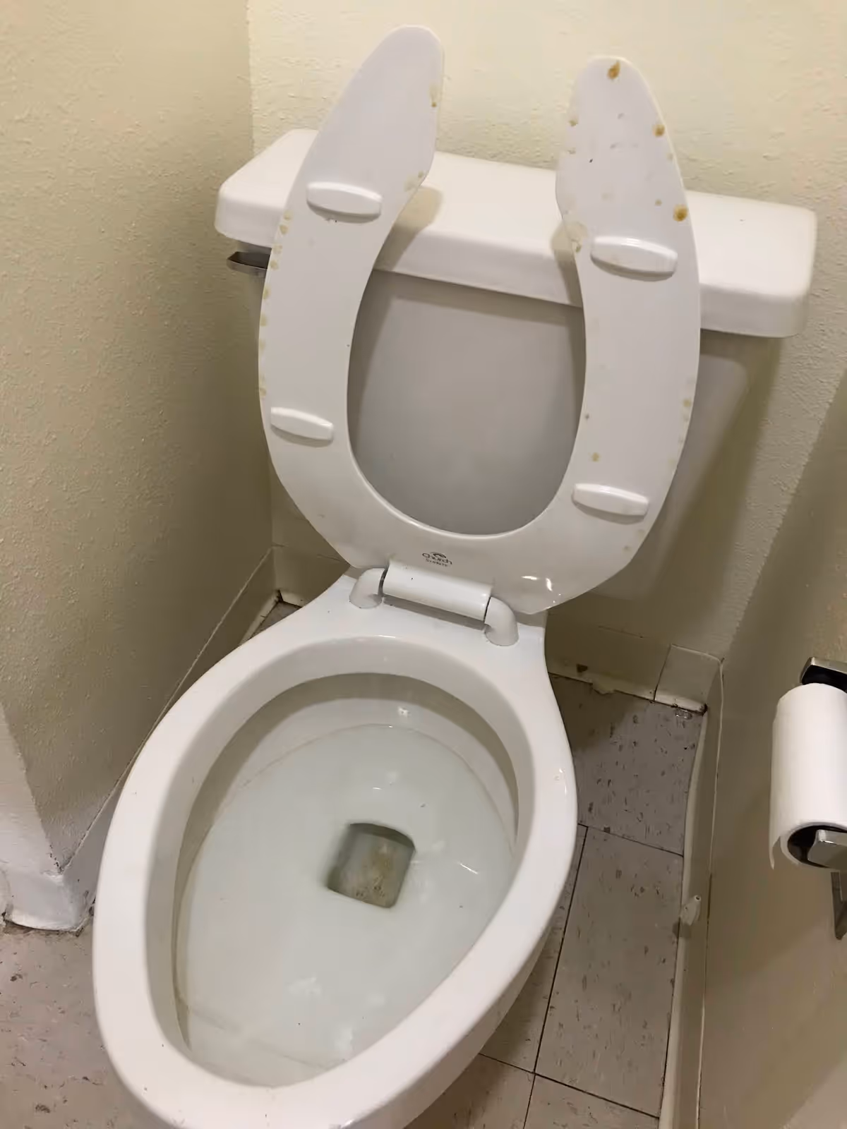 Toilet with seat up and spotted stains in a small bathroom.