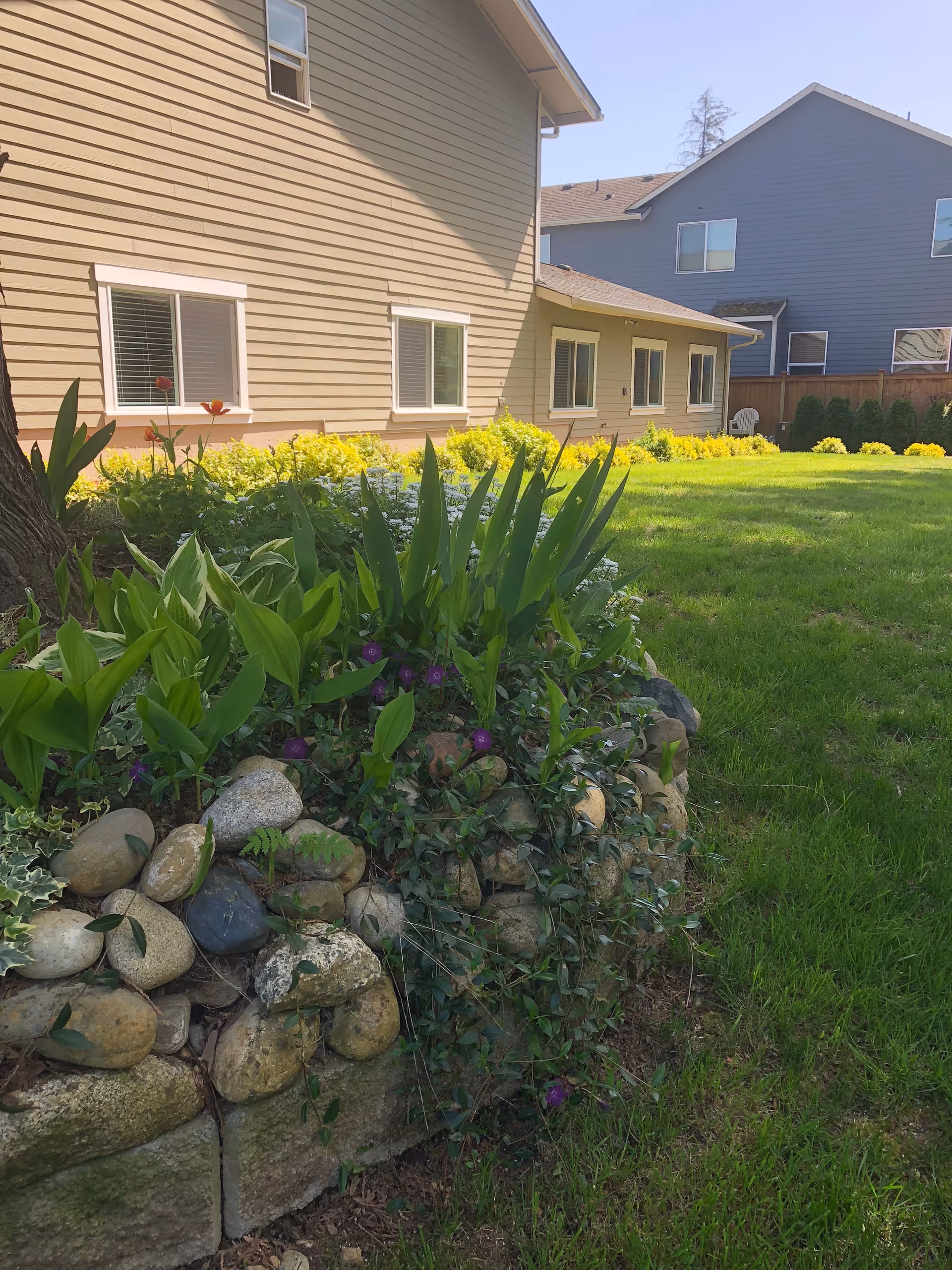 Exterior view of Madison Adult Family Home with landscaped rock garden and green lawn.