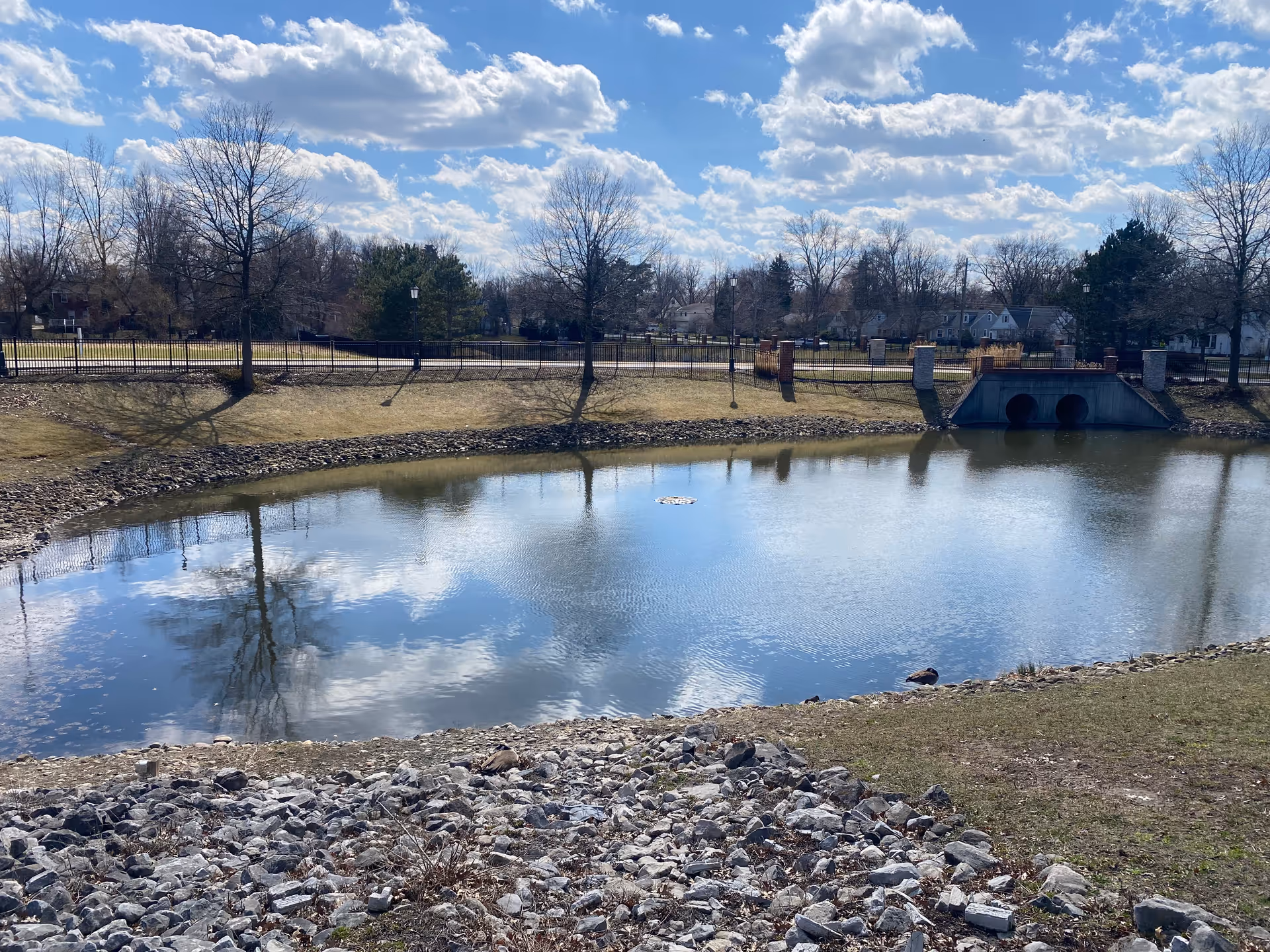 Sunny outdoor pond area with trees, grassy banks, and a concrete culvert on the right.
