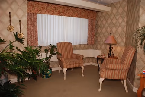 Cozy living room seating area with two striped armchairs, a lamp, plants, and window curtains.