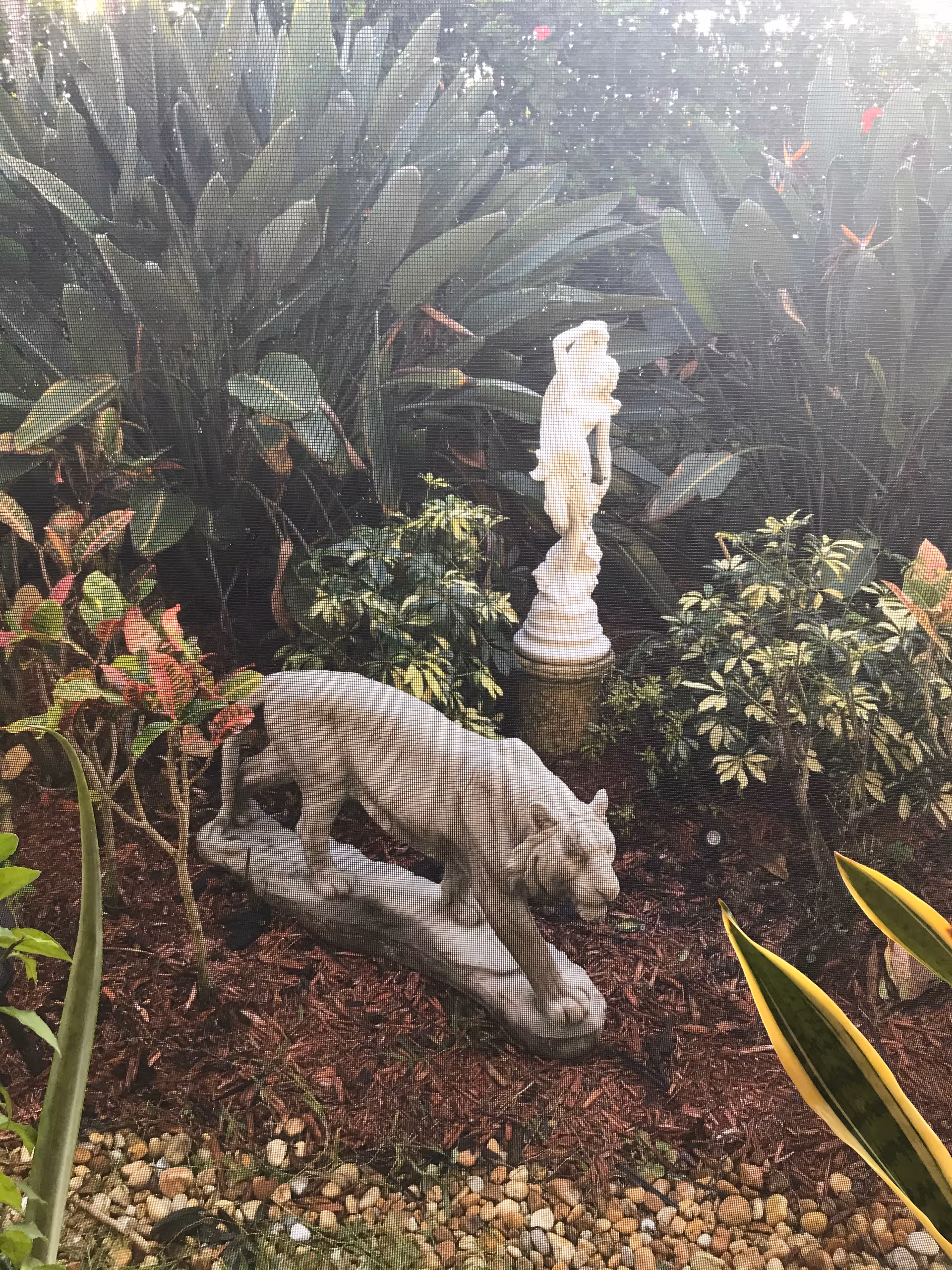 Outdoor garden with a stone tiger statue and lush tropical plants.