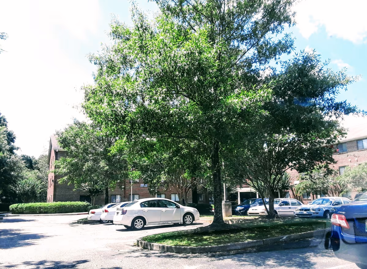 Exterior view of AHEPA 310 VI Senior Apartments with a tree-lined parking lot and brick building