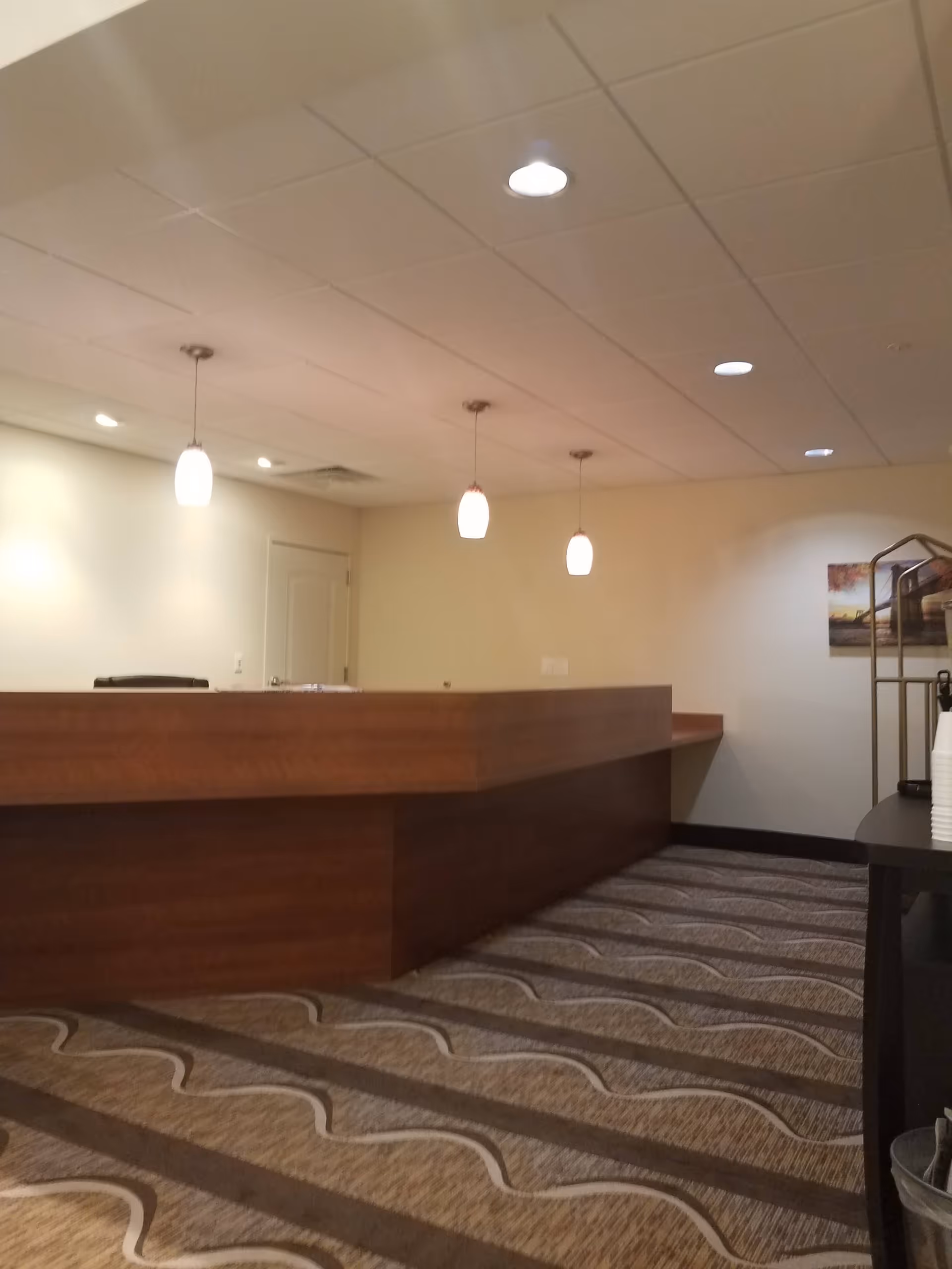 Interior reception area with curved wooden front desk, pendant lights, and patterned carpet.