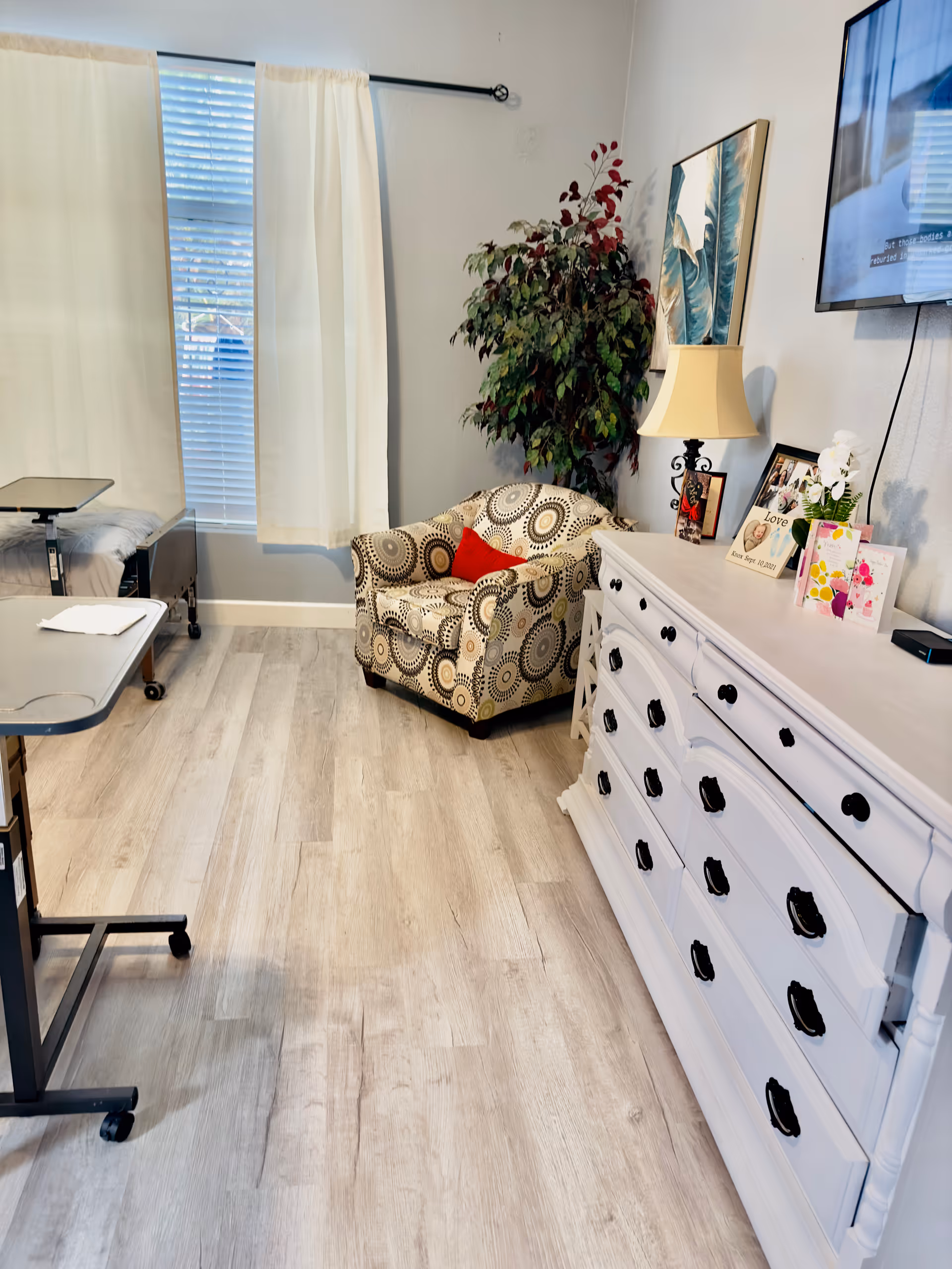 Bright living area with patterned armchair, white dresser, plant, lamp, and wall-mounted TV.