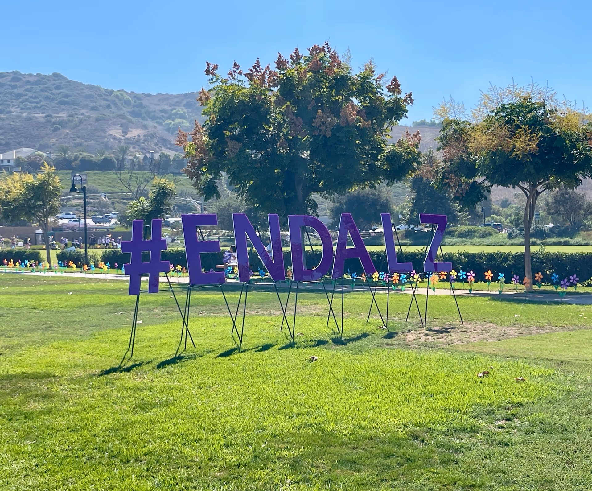 Large purple '#ENDALZ' sign on a grassy park lawn with trees and hills behind