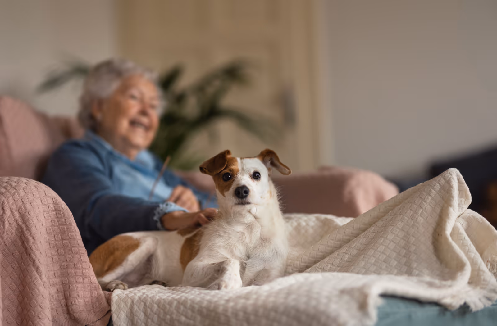Smiling elderly resident seated on a pink couch with a small dog on a white blanket.