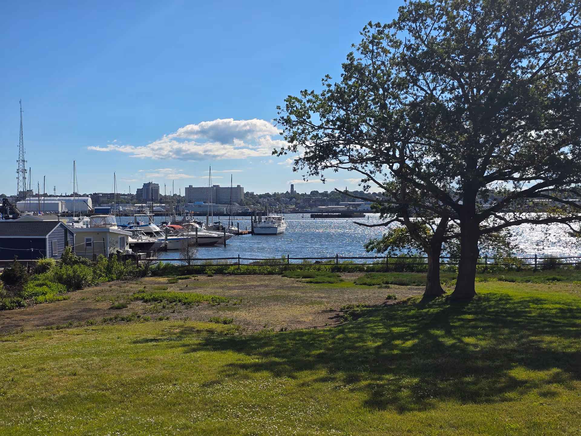Grassy waterfront park with a large tree and boats docked at a marina