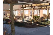 Outdoor courtyard with a wooden pergola and landscaped plants at Garden Oasis.