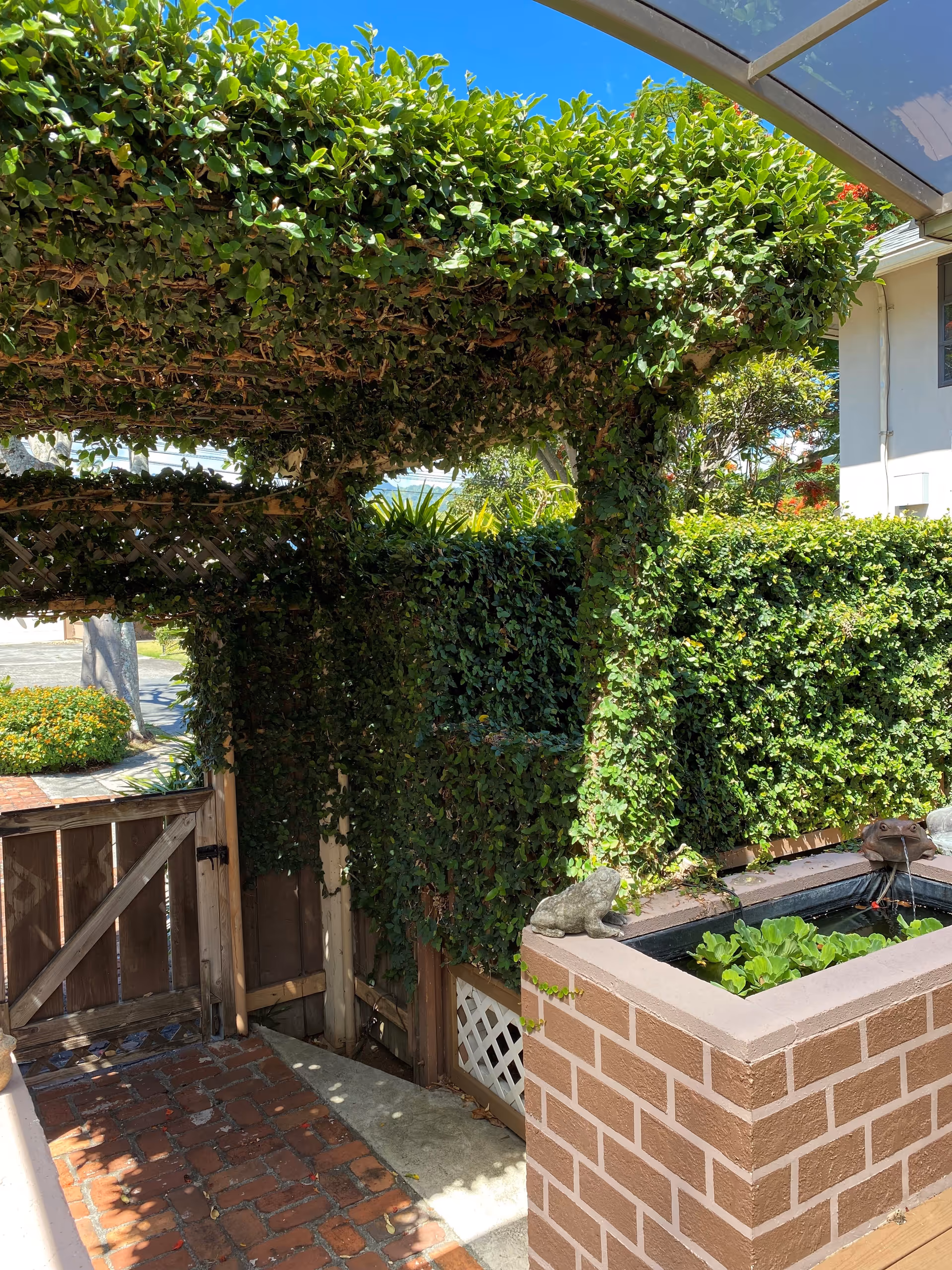 Green ivy arches over a courtyard gate beside a brick planter in bright sunlight.
