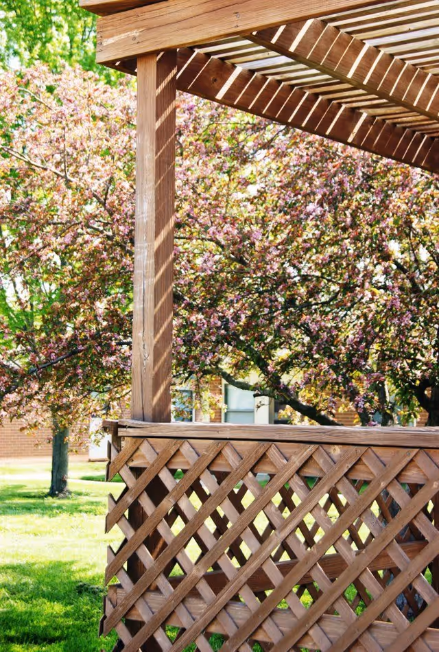 Wooden pergola and lattice railing on a grassy outdoor patio with blooming trees in the background.