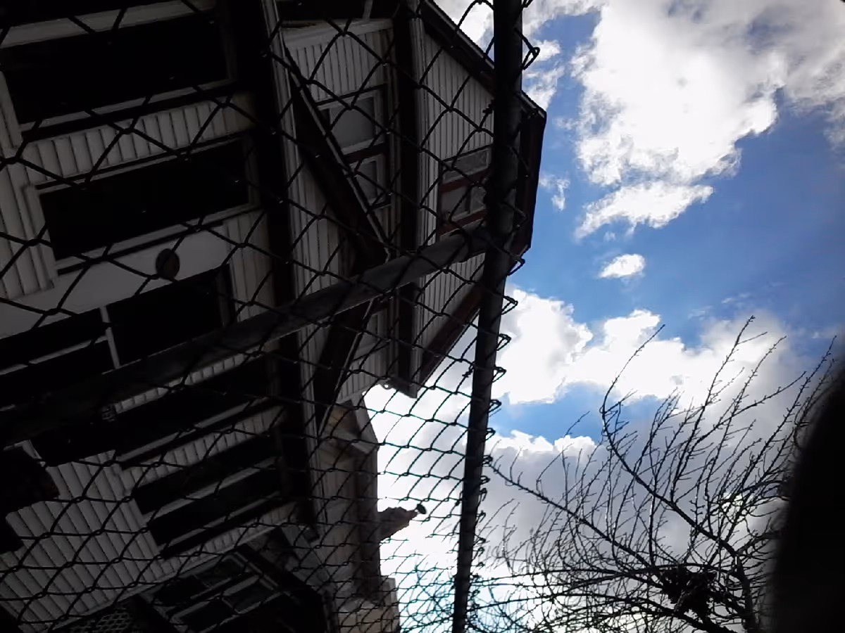 Exterior view of a building behind a chain-link fence with blue sky and bare branches.