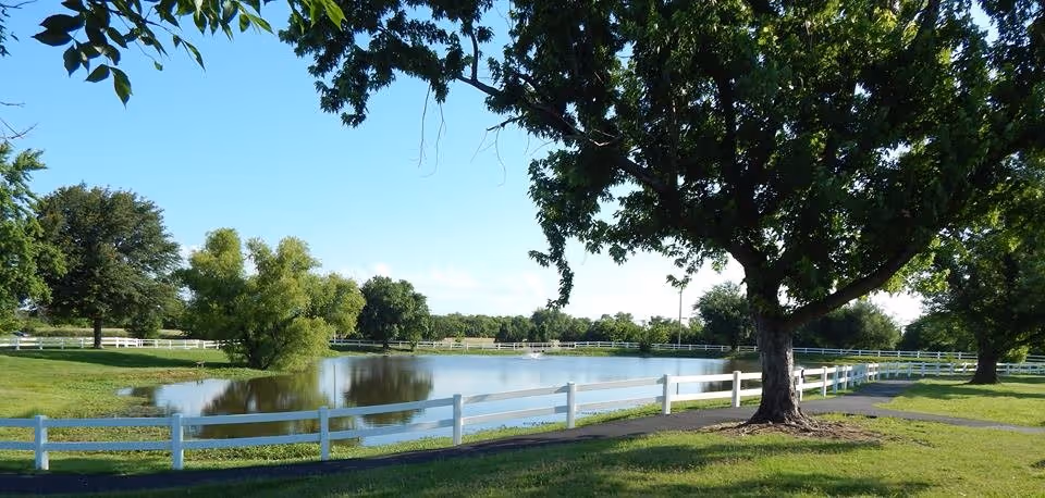 Sunny outdoor scene with a pond, trees, and white fences along green lawns.