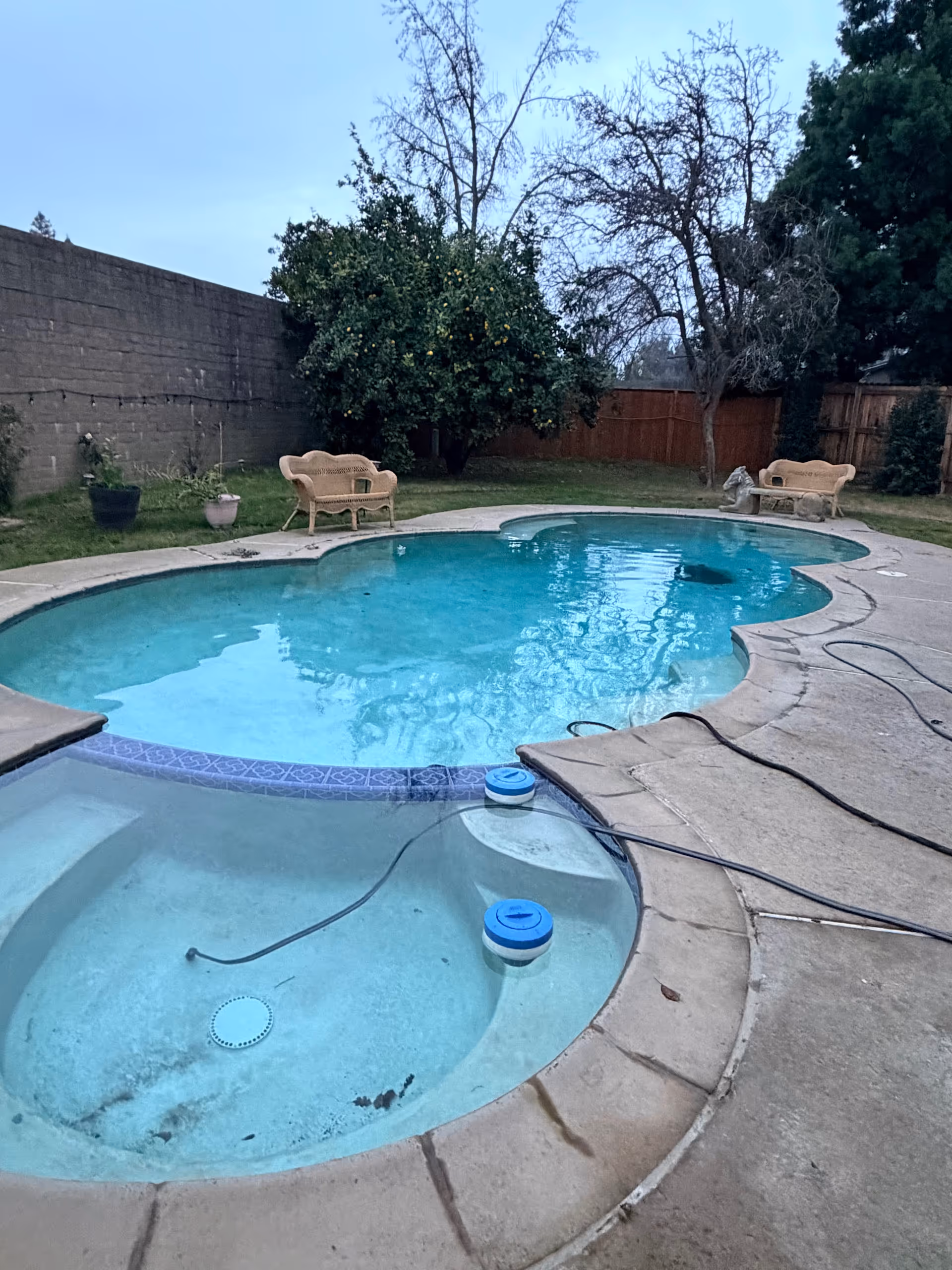Outdoor backyard with a kidney-shaped pool, hot tub, concrete deck, benches, potted plants, trees