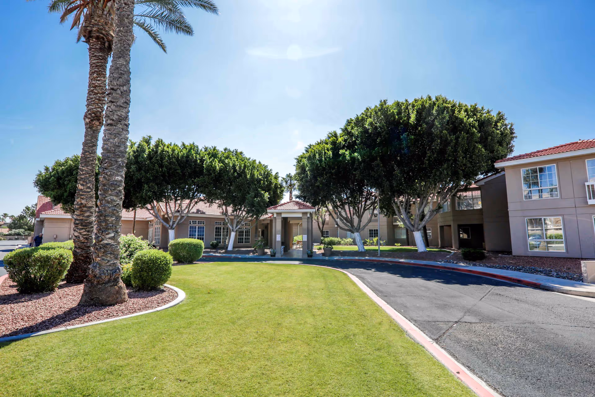 Sunny exterior view of Gardens of Sun City with palm trees and a curved driveway.