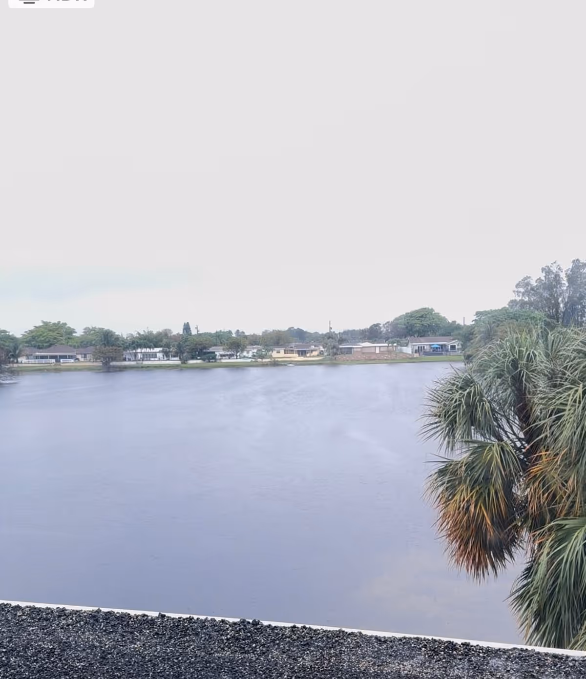 Outdoor lake view beside Oasis at Margate, with palm trees and distant houses.