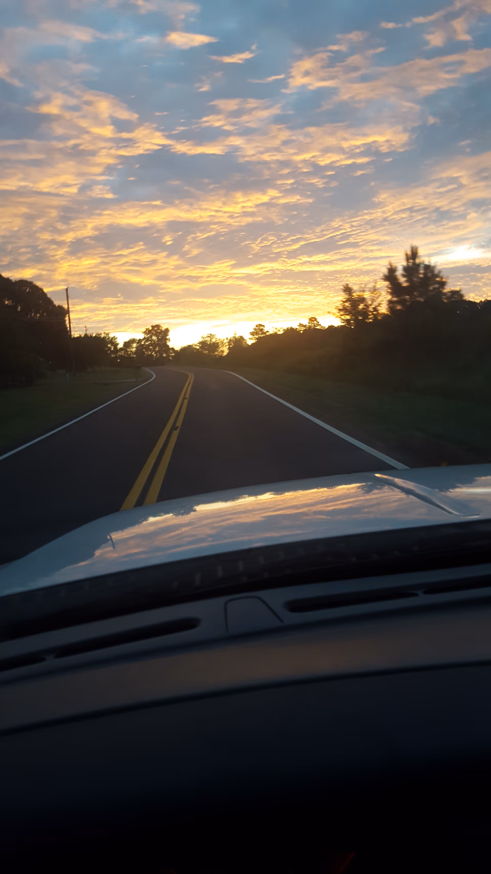 Driver's view of a winding road at sunset with trees on both sides.