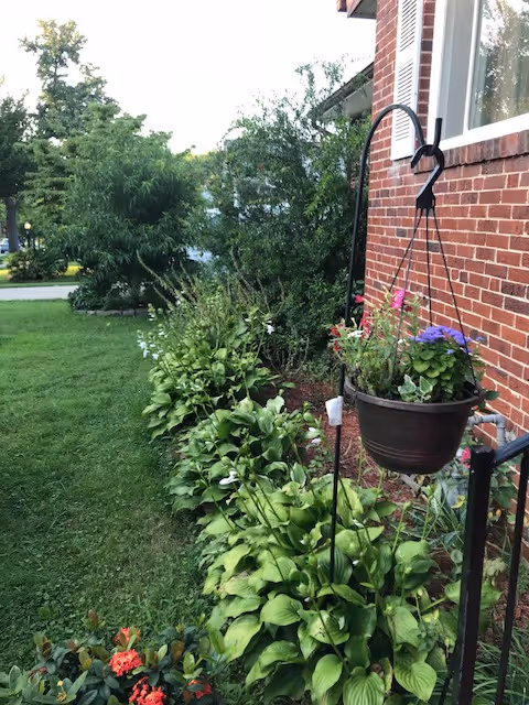 Brick exterior wall with a hanging planter and lush garden along the building.