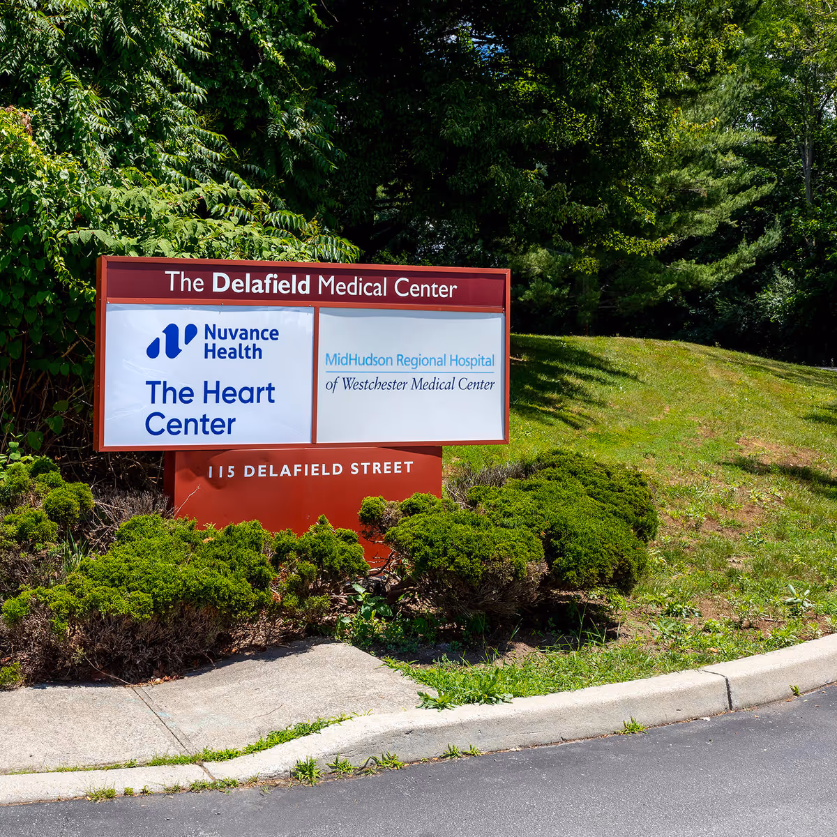 Exterior sign for The Delafield Medical Center amid greenery and a curb.