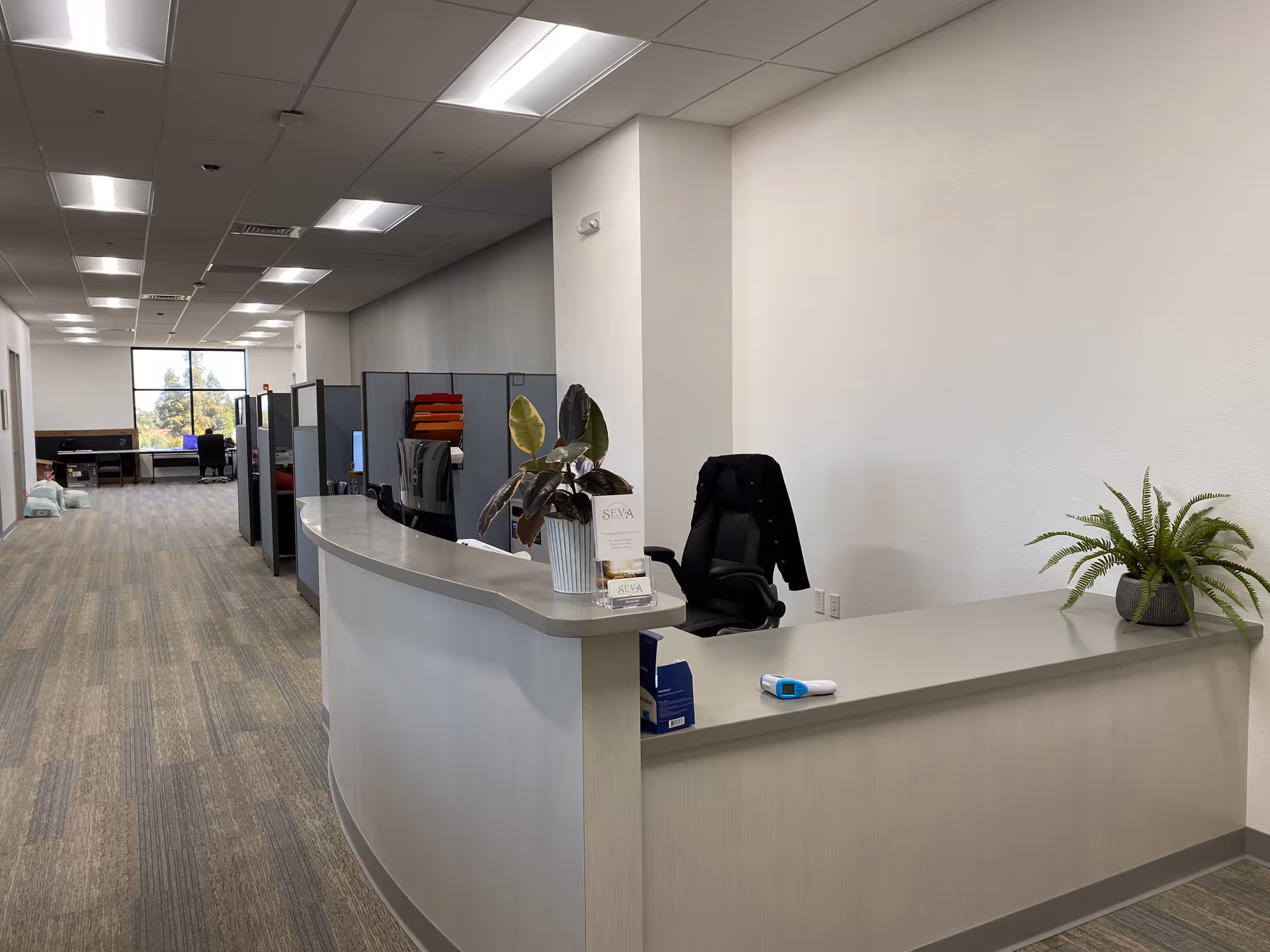Reception desk with curved counter, plant, and cubicles in a spacious office lobby.