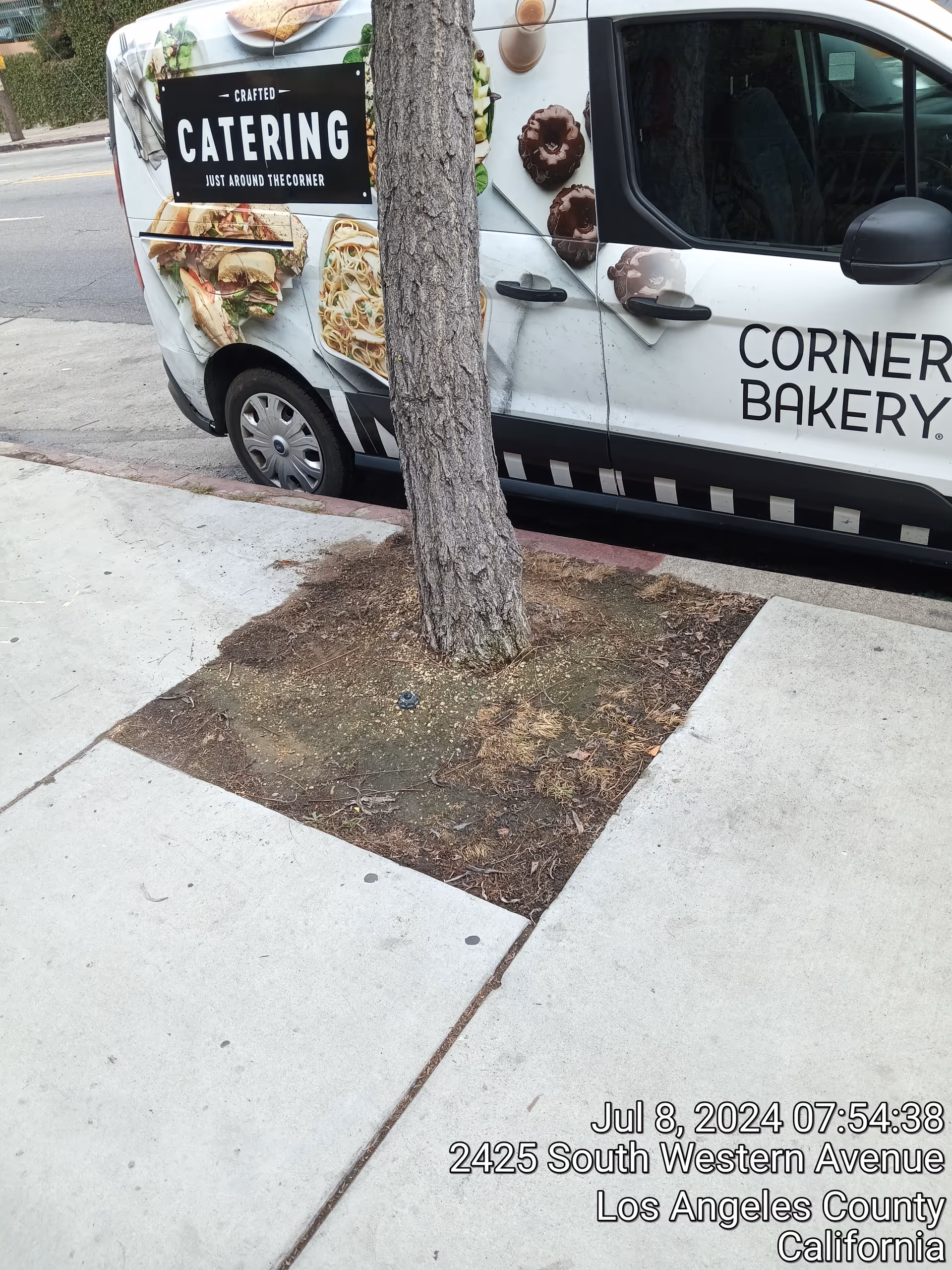A catering van parked on a curb beside a tree and sidewalk.