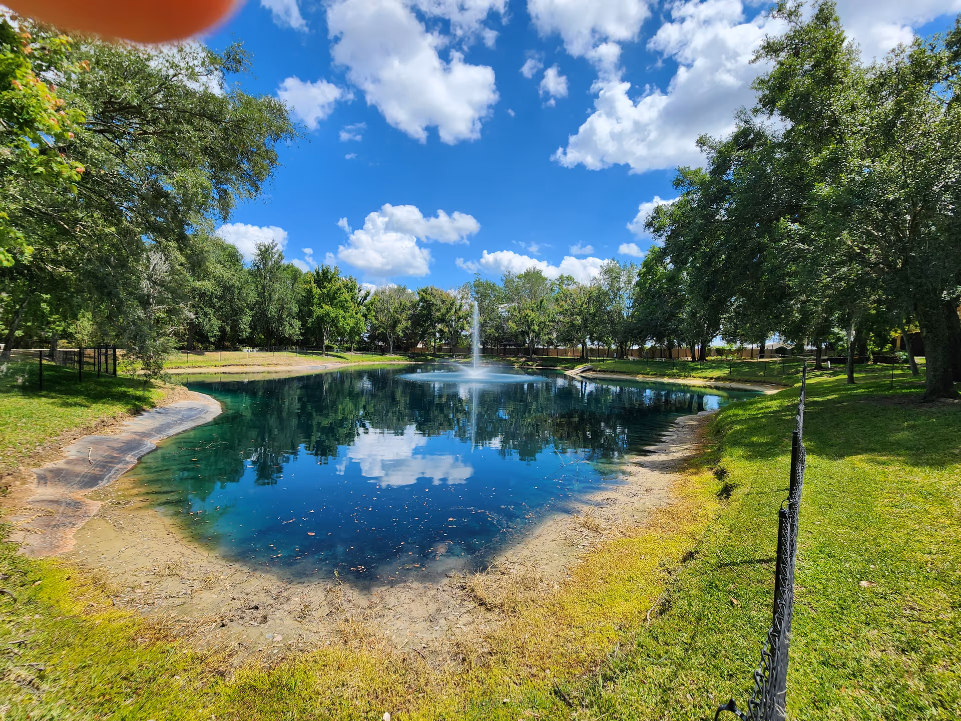 A tranquil outdoor pond with a fountain, encircled by trees and a bright blue sky.
