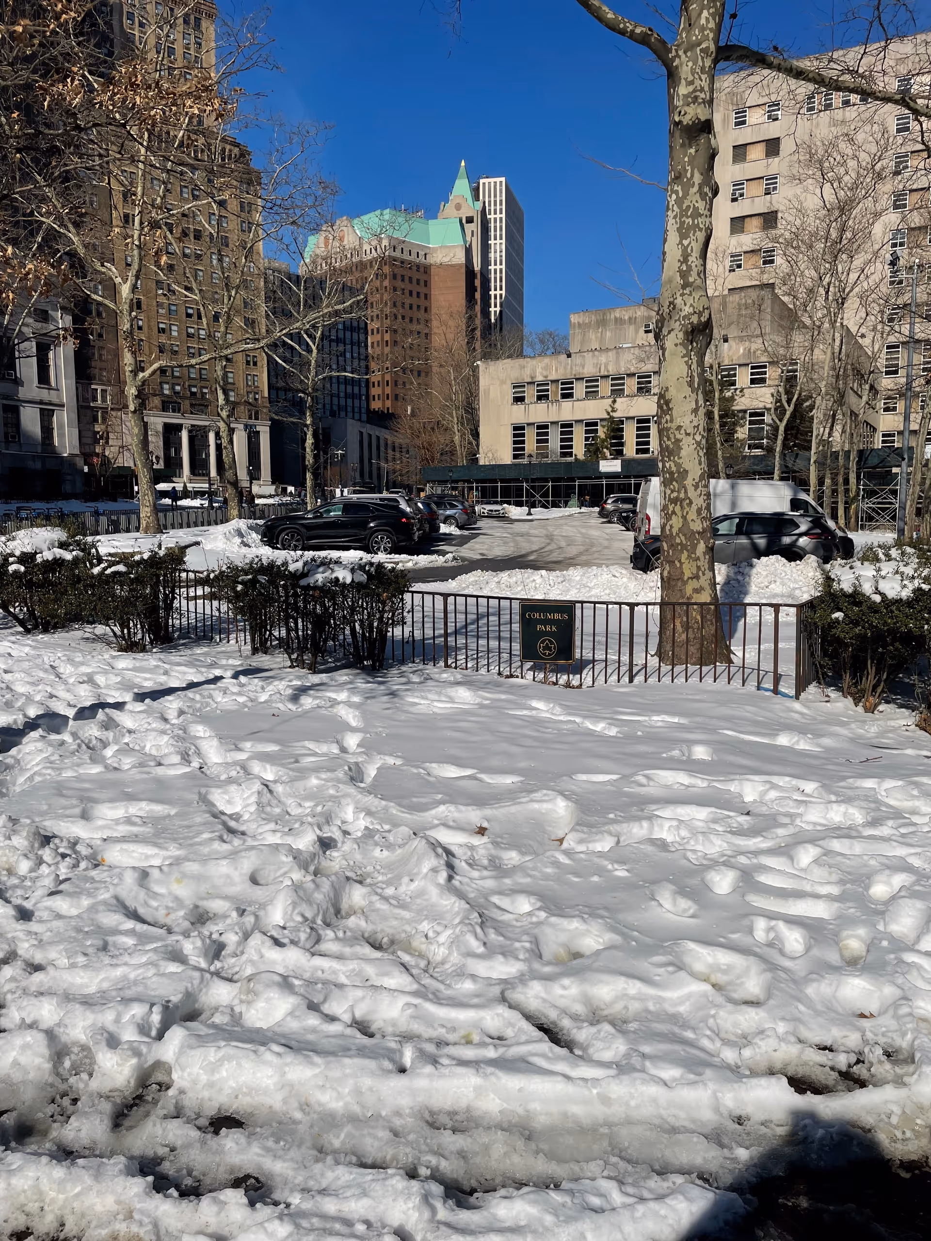 Snow covers a city park with bare trees, cars, and tall buildings in the background.