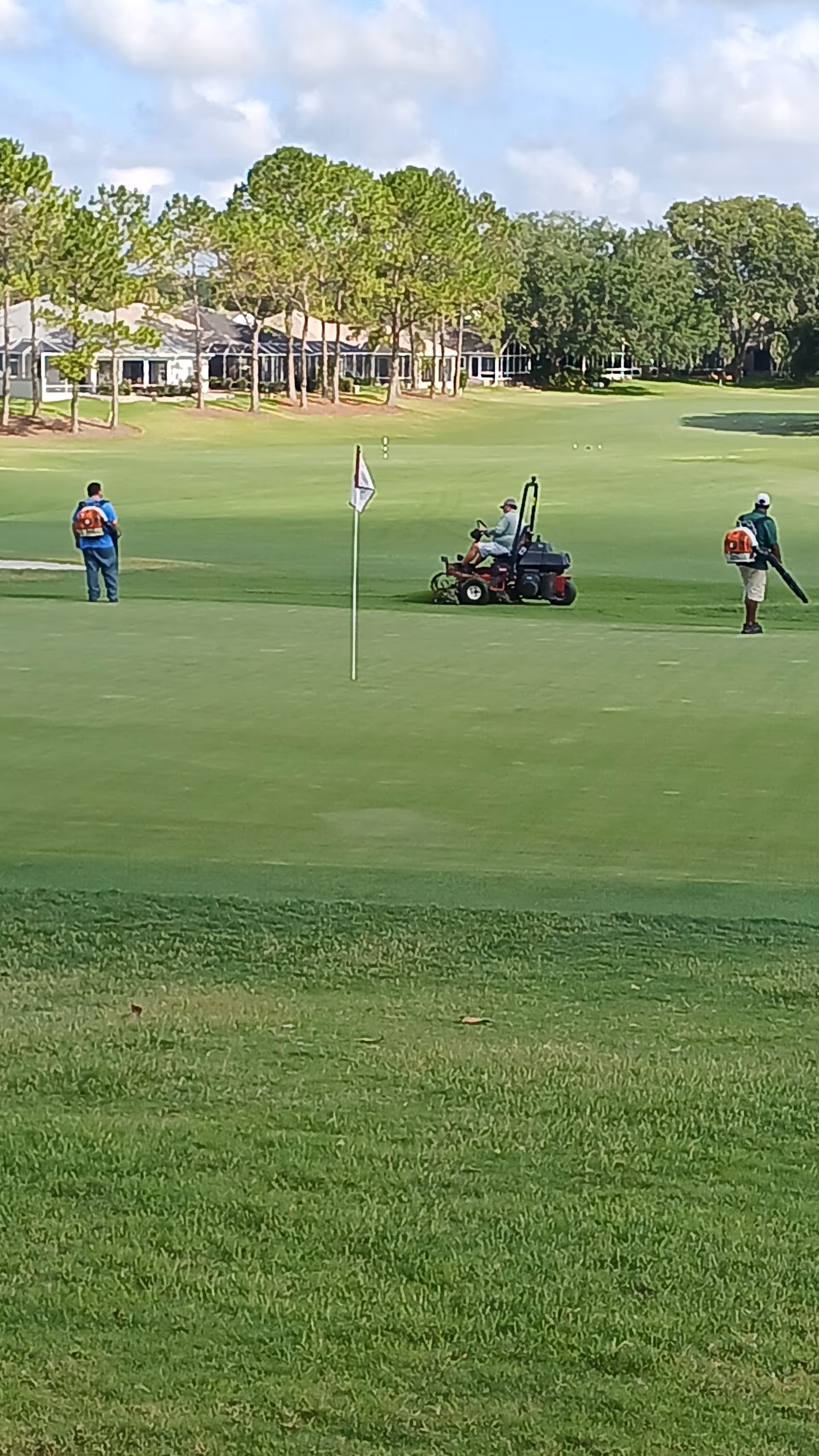 Groomed golf course greens with players, a mower, and trees in the background.