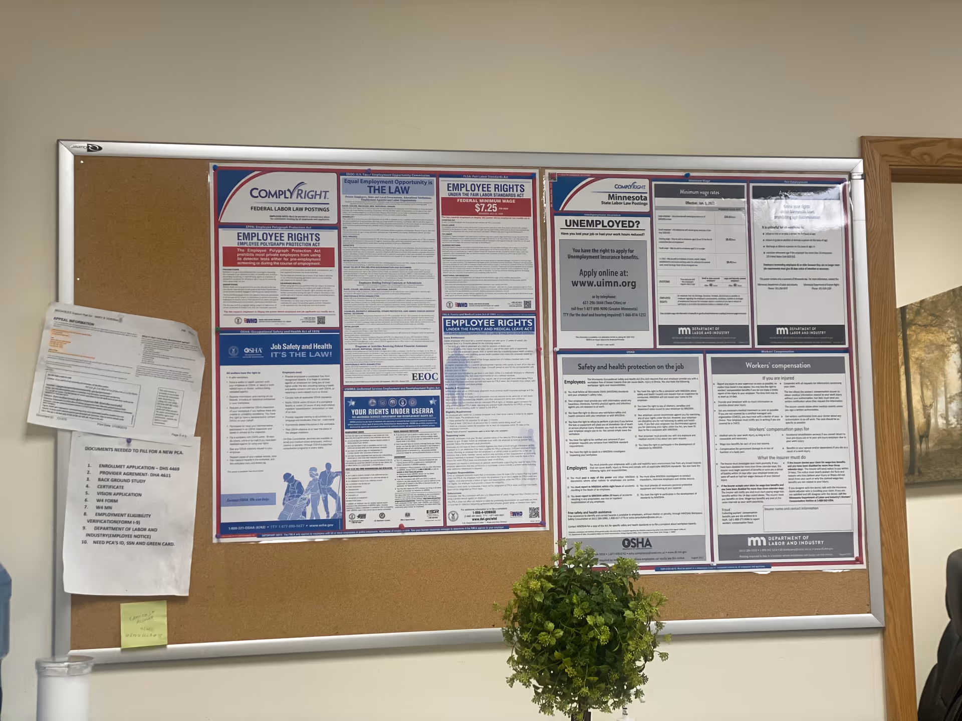 Indoor corkboard filled with notices and a small green plant in front