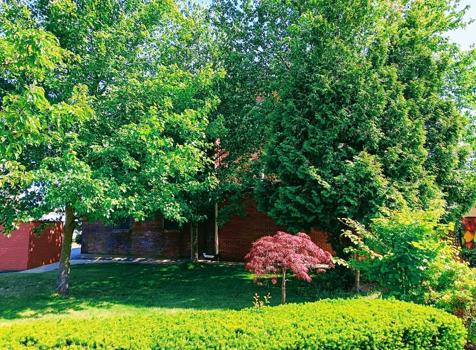 Front exterior of a red brick building largely obscured by lush green trees and shrubs.