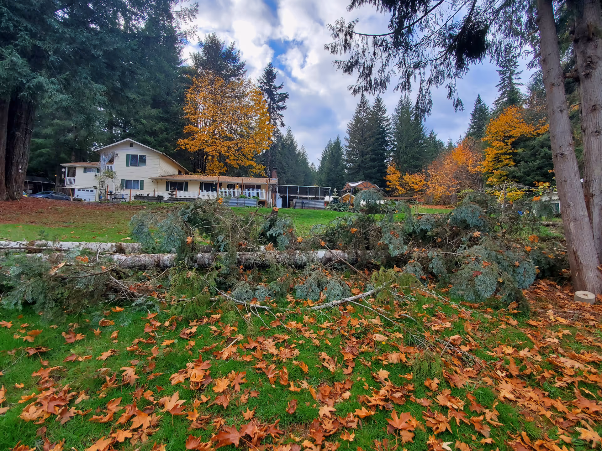 Cream-colored residence building with a green lawn, fallen branches, and autumn leaves.