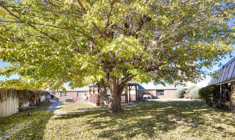 A spacious outdoor area with a large tree and benches, covered in fallen leaves.