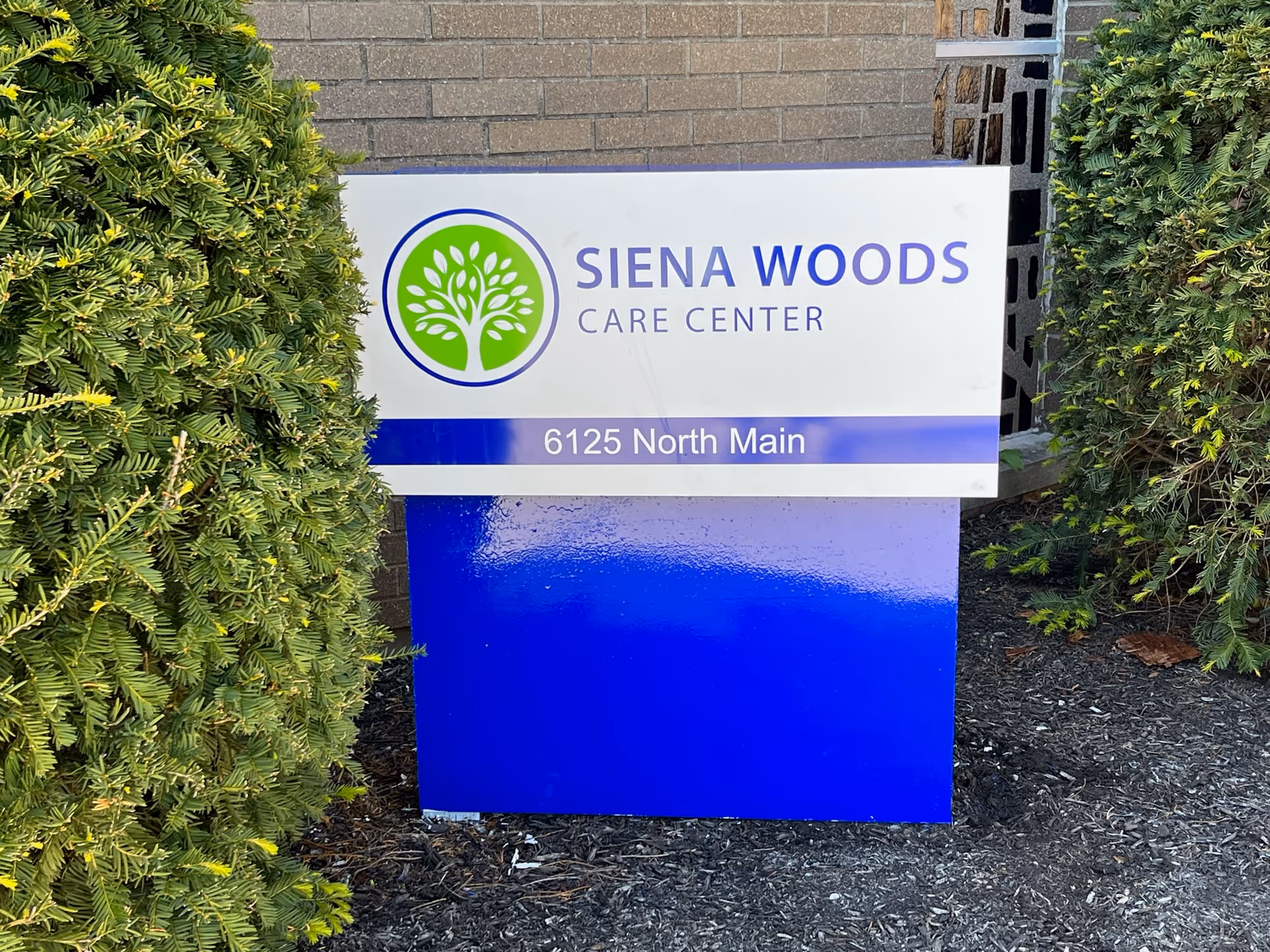 Outdoor sign for Siena Woods Care Center with a green tree logo and the address 6125 North Main, surrounded by green bushes and a brick wall background.