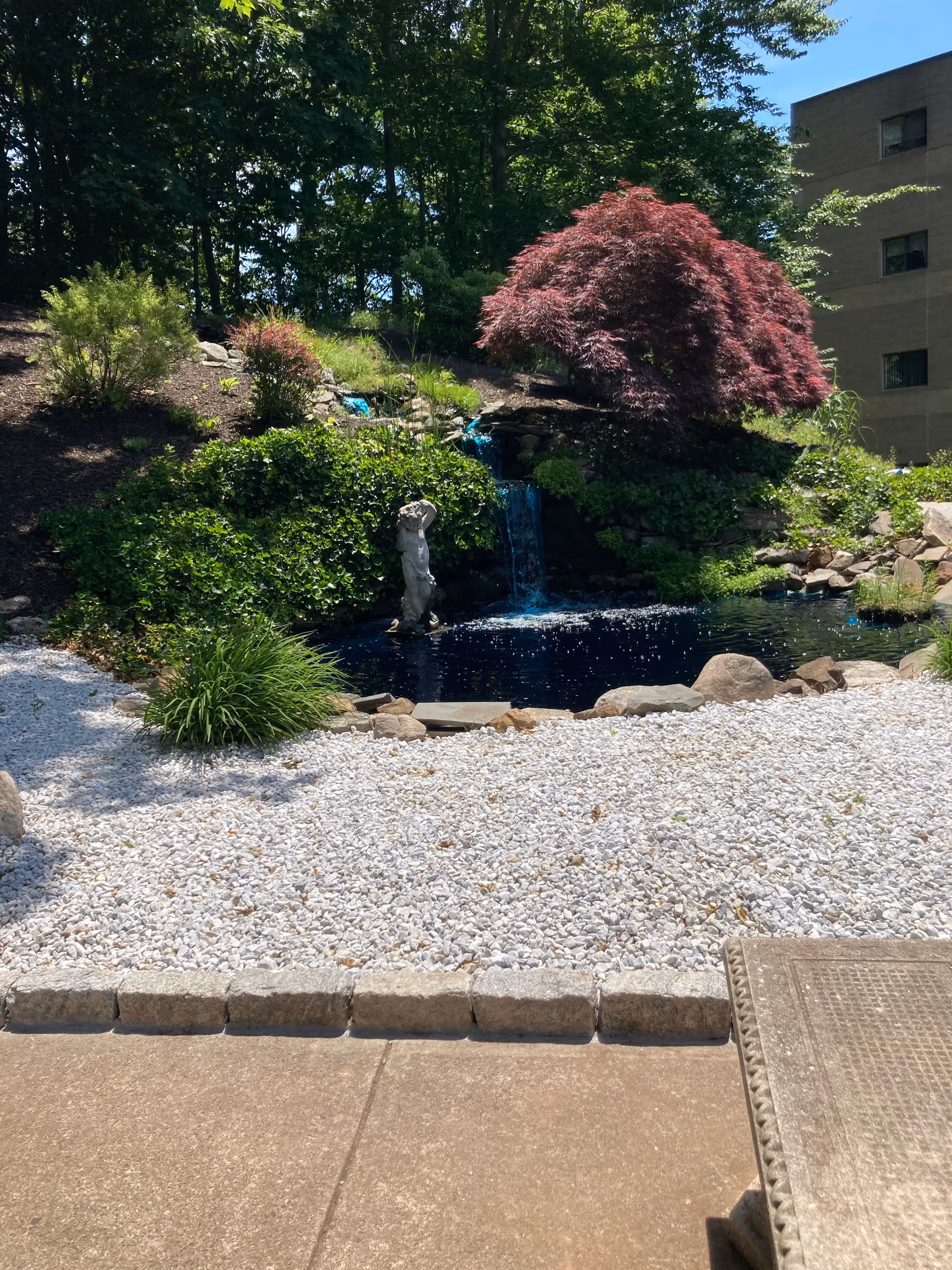 Outdoor garden with a small pond, waterfall, rocks, and lush shrubs beside a building