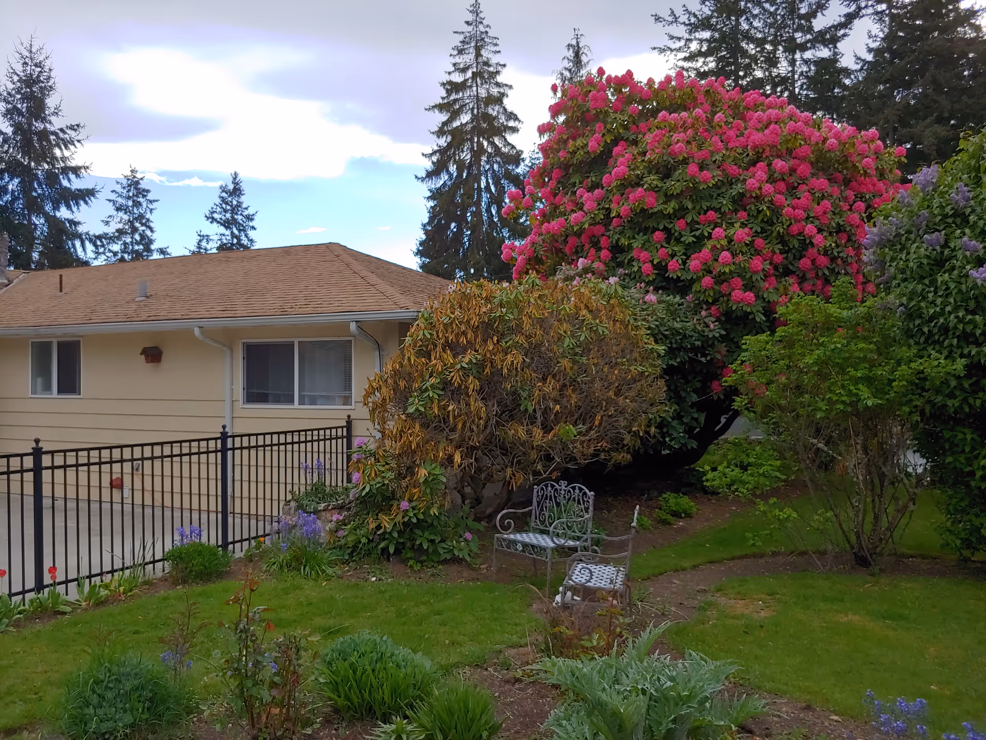 Single-story beige building with brown roof, black fence, and lush garden with pink flowering bushes.