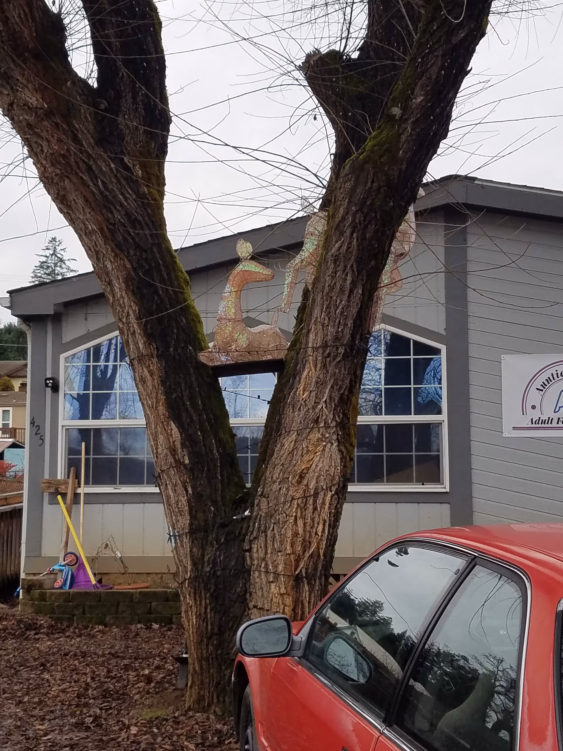 Exterior view of Auntie Angel's Adult Foster Home, with a tree in foreground and a car.