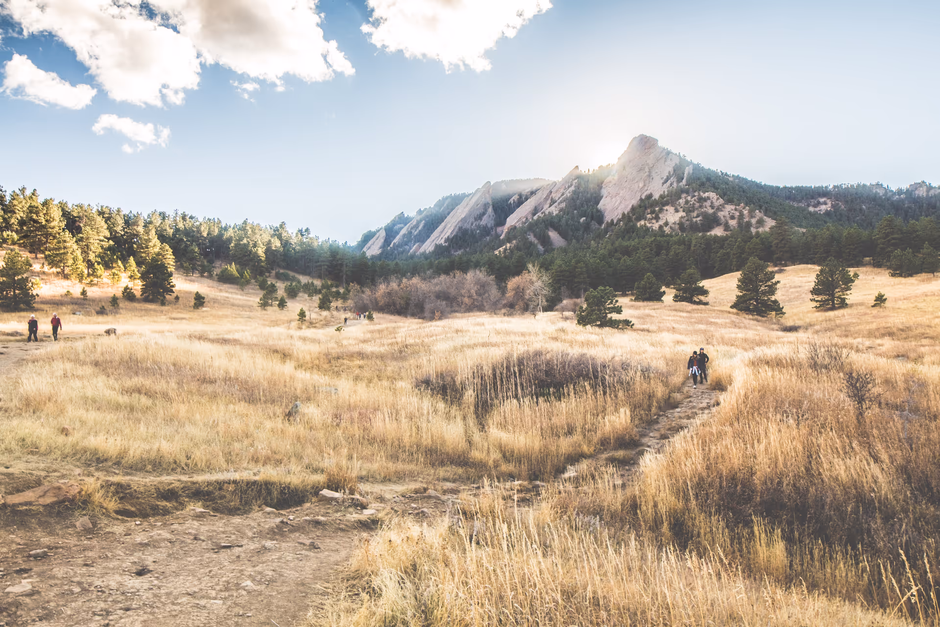 Wide open field with a dirt path, dry grasses, trees, and distant mountains under bright sky.