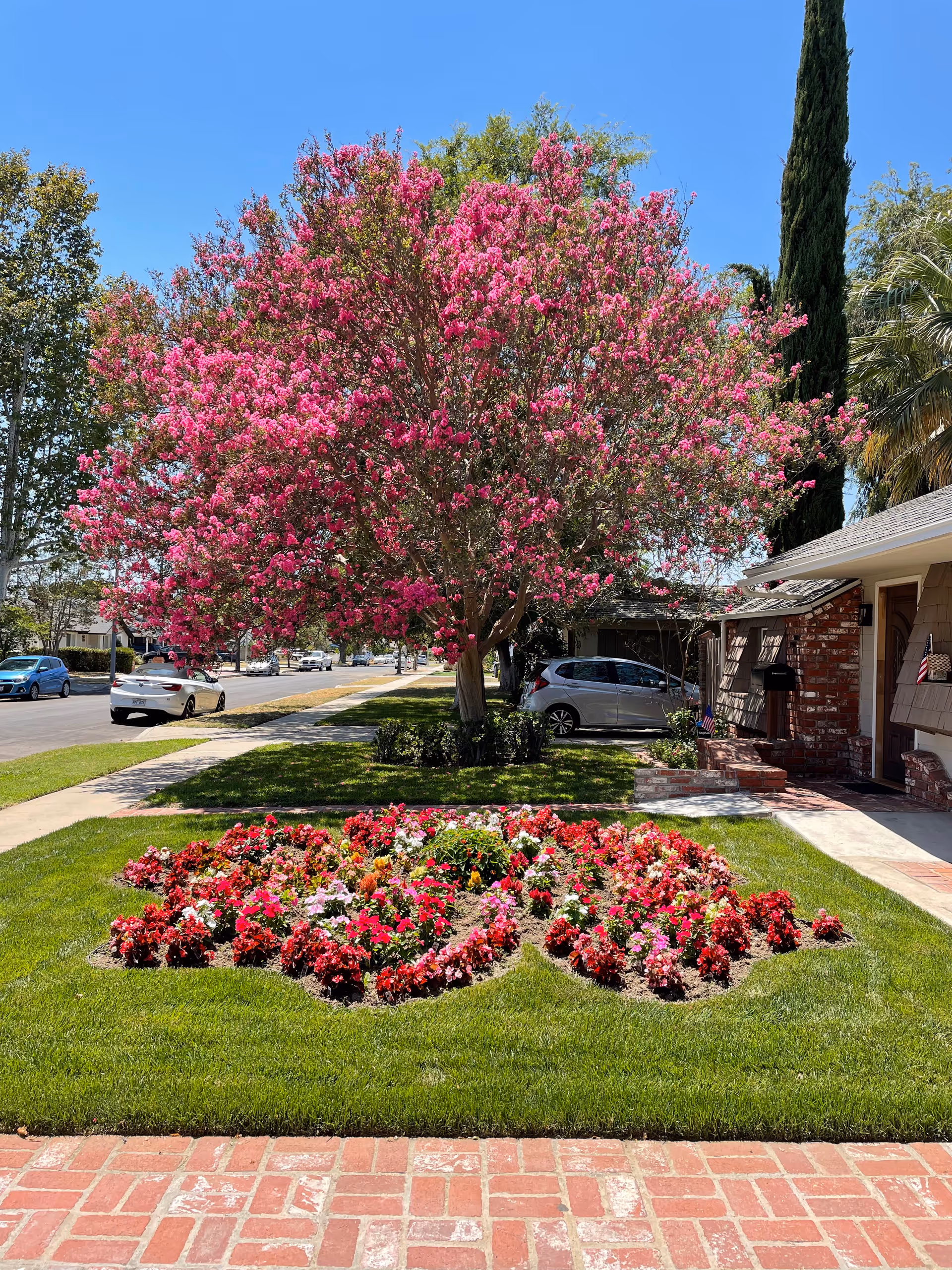 Bright pink flowering tree and colorful flower bed greet the front of a brick senior home.