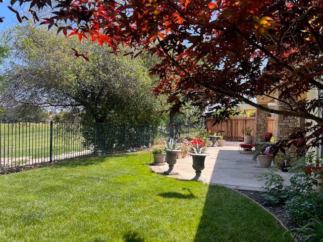 Sunlit outdoor patio with potted plants and a fenced grassy lawn.