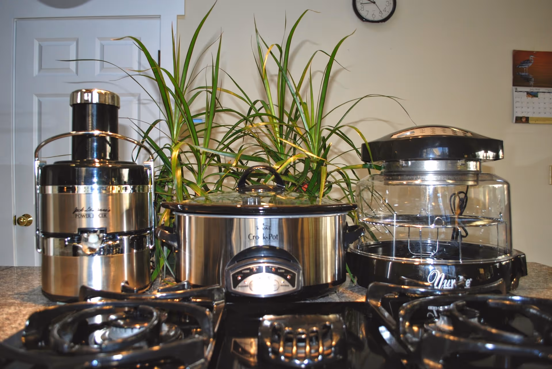 Kitchen counter with multiple appliances, a tall plant, and a wall clock.