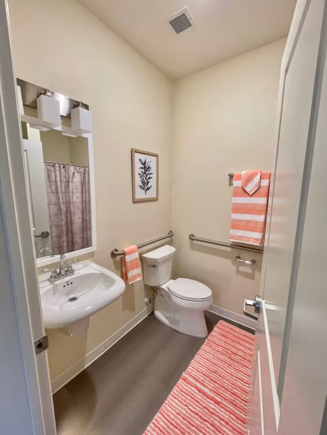 Bathroom with sink, toilet, wall art, pink towels, and striped rug.
