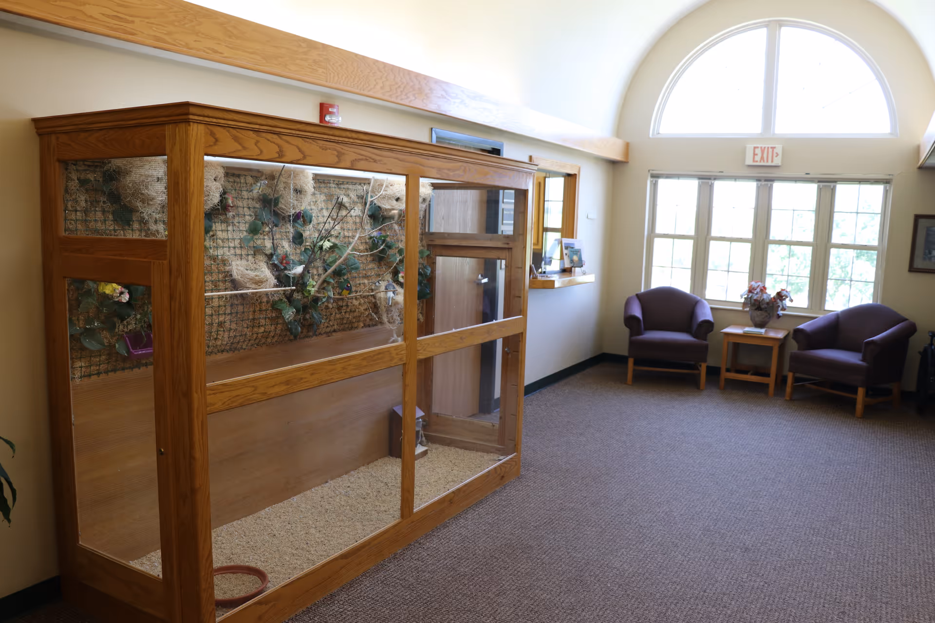 A quiet interior room with a large wooden and glass enclosure on the left side containing plants and branches, possibly a bird or small animal habitat. On the right side, there are two purple armchairs with wooden legs, a small wooden table between them holding a vase with flowers, and a large window with an arched top letting in natural light. An exit sign is visible above the window.