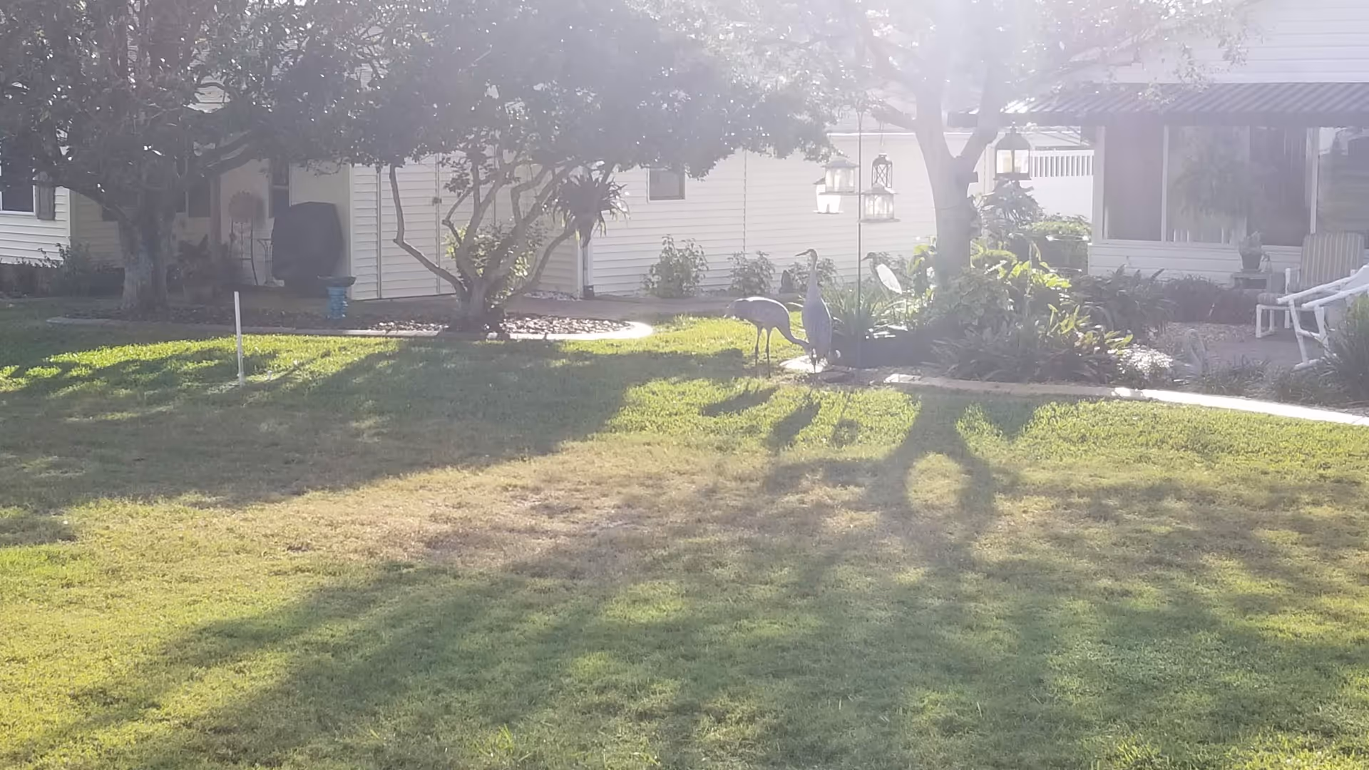 Front yard of Highland Fairways Lakeland with trees, shrubs, and outdoor seating.