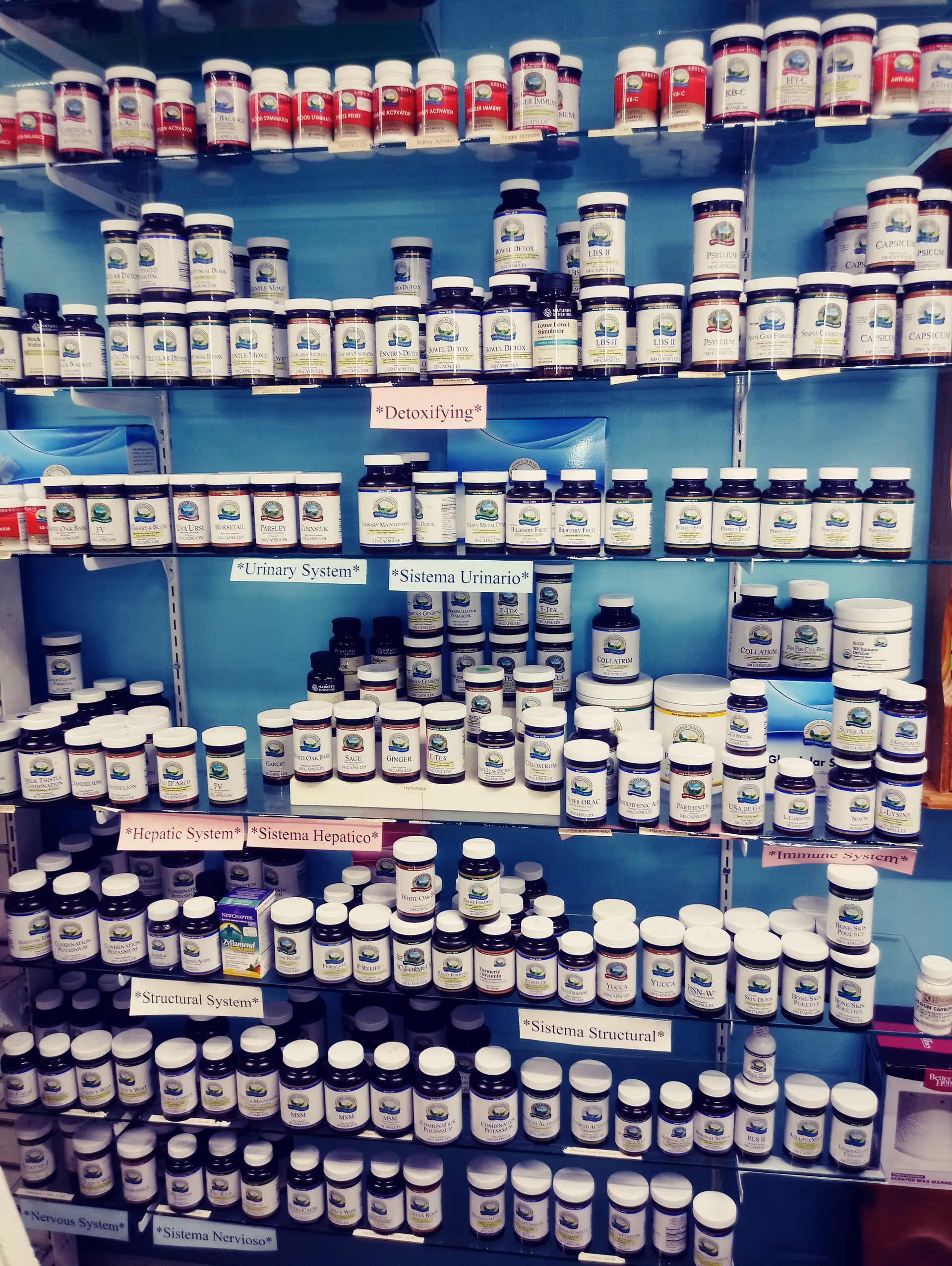 Blue shelves filled with numerous vitamin bottles and labeled health sections.