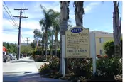 A sunny street view showing Abbey Road Villa front sign and surrounding palm trees.