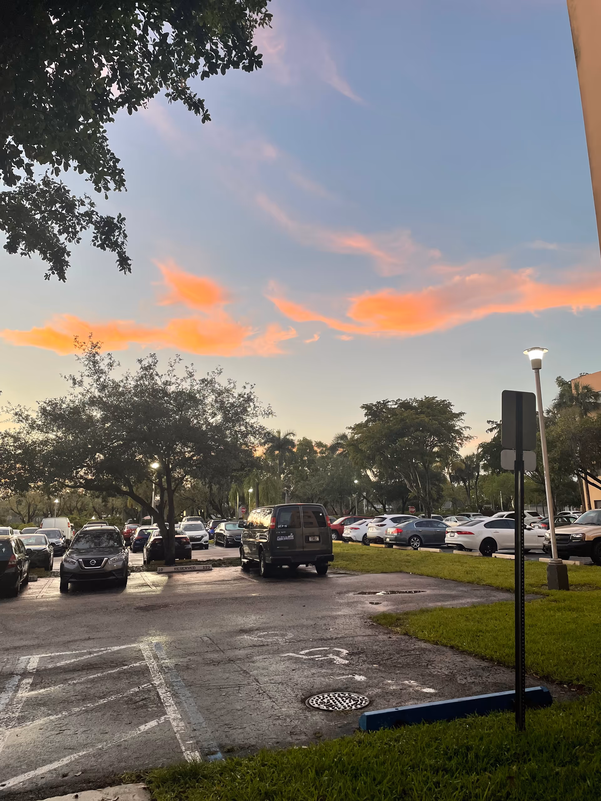 Exterior parking lot filled with cars and trees at sunset.