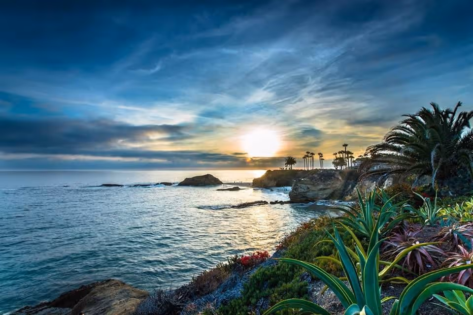 Coastal sunset over the ocean with rocky shoreline, palm trees, and vibrant foreground plants.