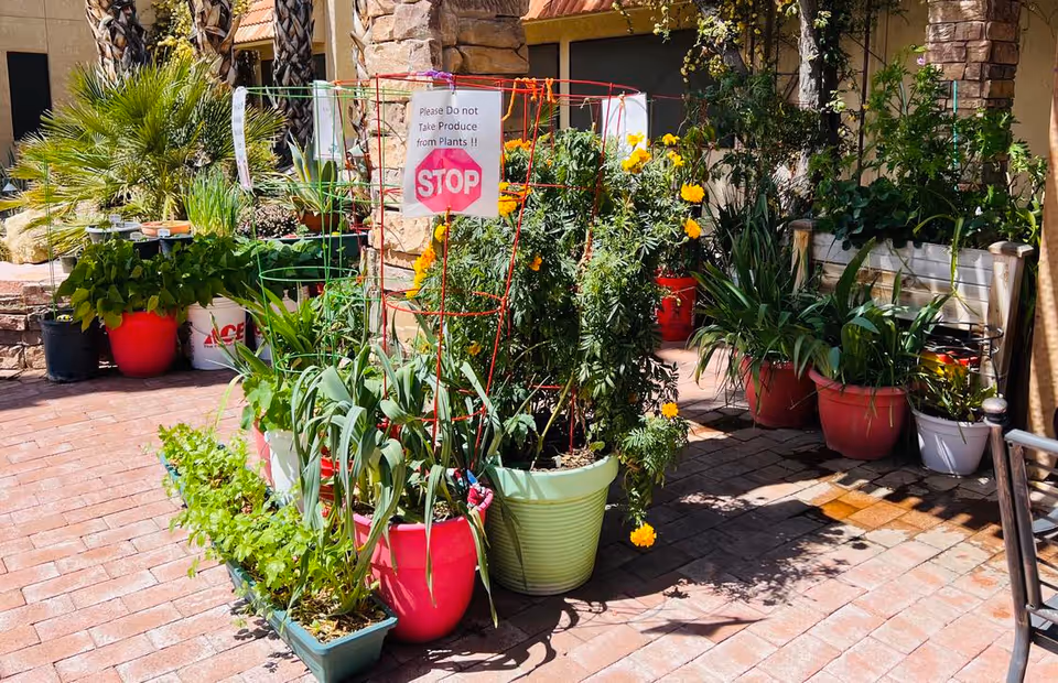 Outdoor courtyard filled with colorful potted plants lining a brick patio.
