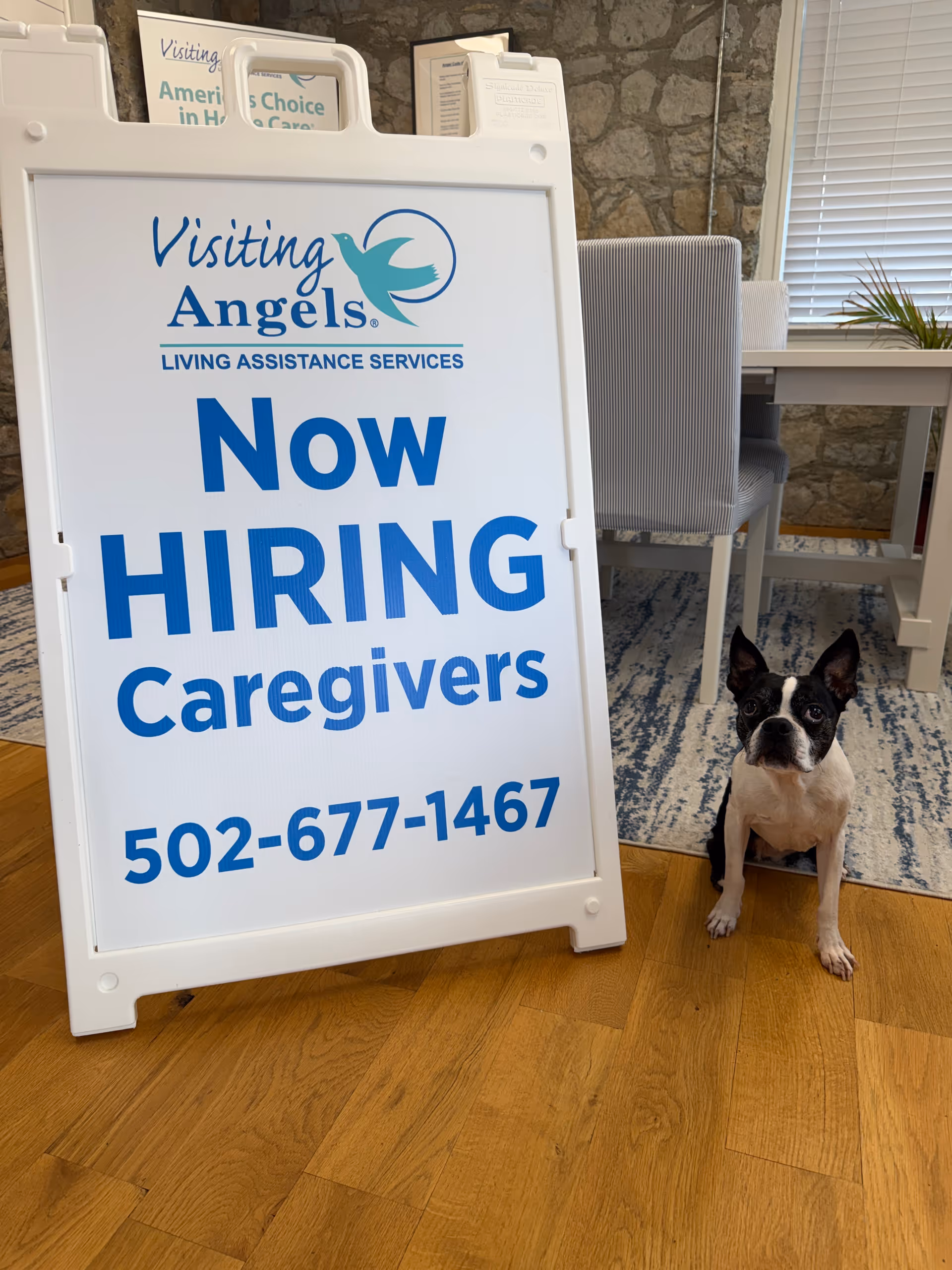 Visiting Angels Now Hiring Caregivers sign indoors beside office chairs and a small dog.