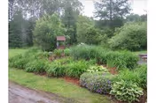 A well-kept garden with shrubs, trees, a birdhouse, and a gravel path.
