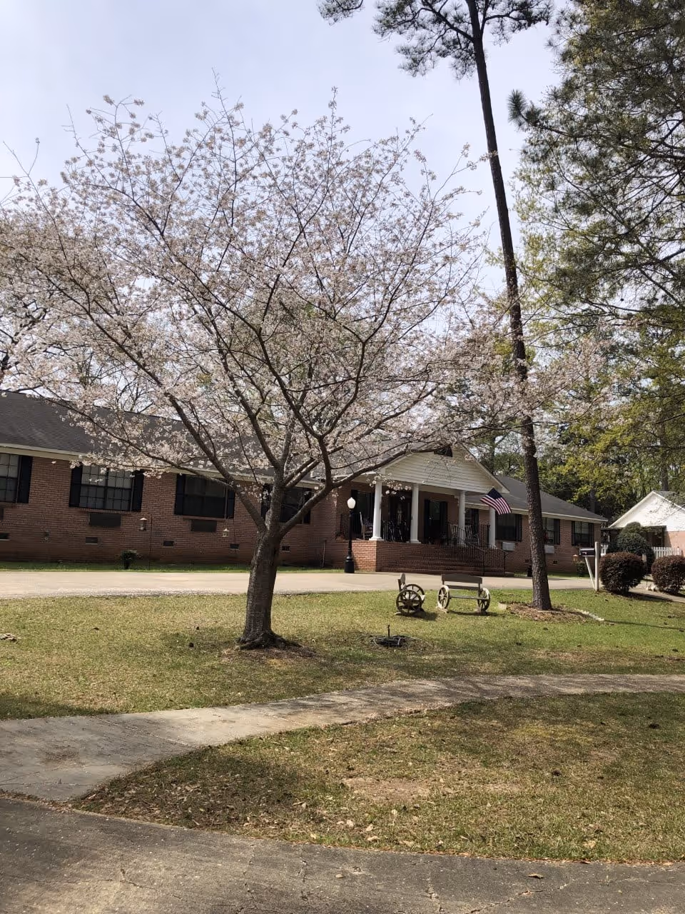 A single-story brick building with a covered entrance and an American flag hanging near the door. In front of the building, there is a blossoming tree with light pink flowers, a bench with wagon wheel sides, and a paved walkway leading to the entrance. The surrounding area has grass and tall pine trees.